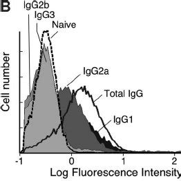 Massachusetts general hospital | boston, massachusetts, 02214, united states. Masahisa JINUSHI | Associate Professor | MD, PhD | Keio ...