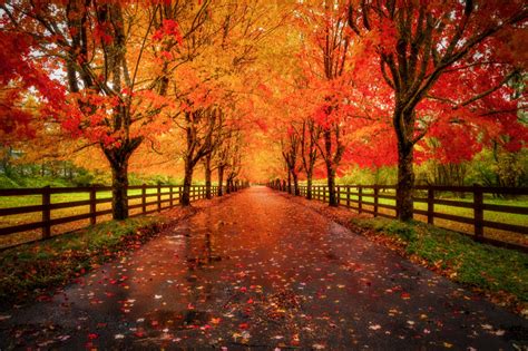 Autumn Rain By Doug Shearer 500px Autumn Rain Autmn Pictures Fall