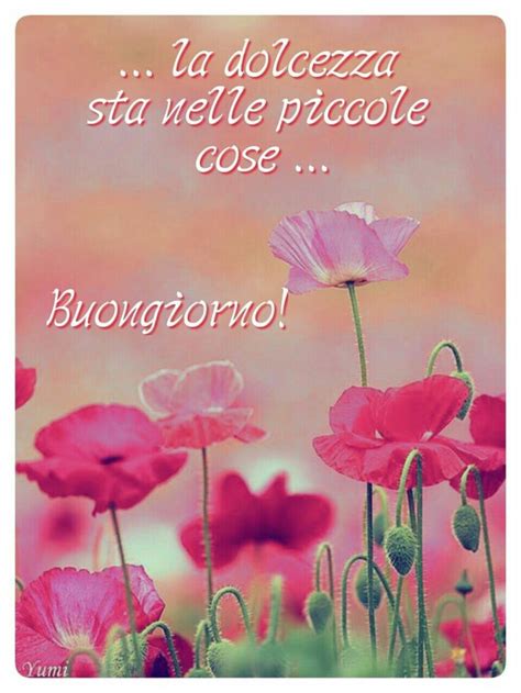 Auguri capodanno immagini da inviare agliamici. Buongiorno con i fiori raccolta delle migliori immagini - Bgiorno.it