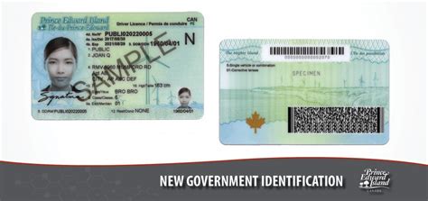 Drivers License System Upgrades Coming Friday Government Of Prince