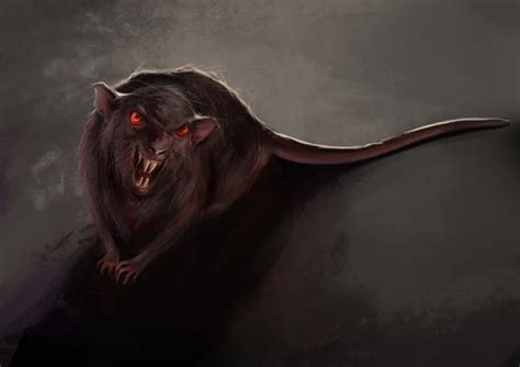 Evil Rat By Vilebedeva On Deviantart