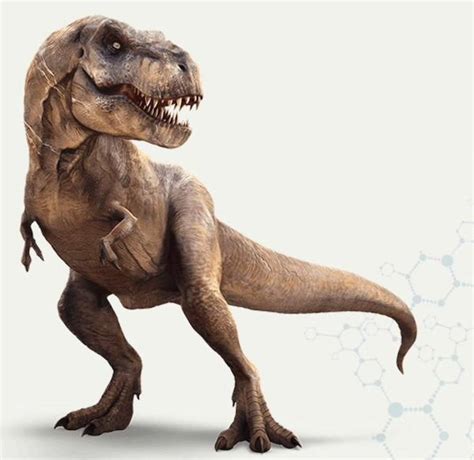 Fundacion Dinosaurios Cyl La Historia De Los Dinosaurios Se Reescribe