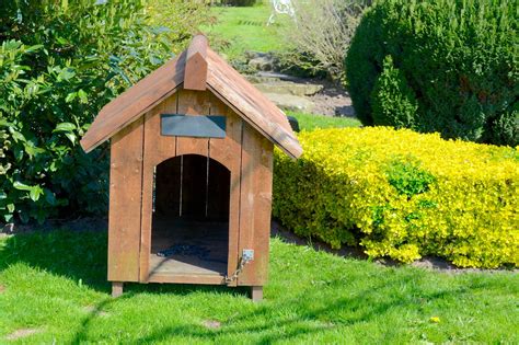 Dog Kennel Designs And Tips On Building One Yourself