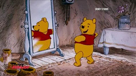 Winnie The Pooh Is A Girl What