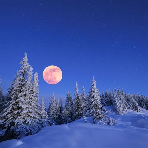Winter Landscape In The Mountains At Night A Full Moon And A Starry