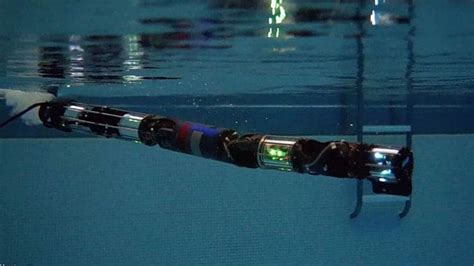 Humrs The Underwater Snake Robot Begins Its Tests Near Future