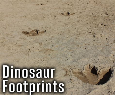 Dinosaur Footprints 12 Steps With Pictures Instructables