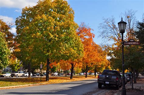 Photoblog Fall On Monument Avenue