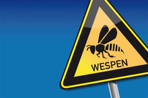 Wie gefährlich ist ein Wespenstich bei Kindern Gesundheitsstadt Berlin
