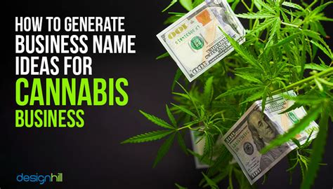 How To Generate Business Name Ideas For Cannabis Business