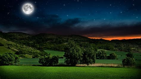 Moonlit Dark Night Sky Darkness Lone Tree Lonely Tree Field