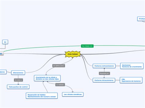 Ciclo Celular Mapa Mental Book Jb1r