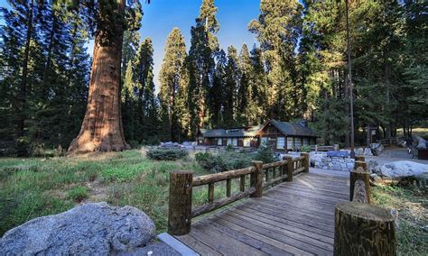 Turismo E Viagem Para Sequoia And Kings Canyon National Park 2021