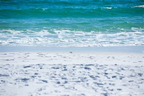 The Complete Guide To Gulf Islands National Seashore