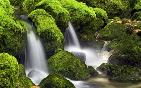 Wallpaper Landscape Forest Waterfall Nature Green Jungle Stream