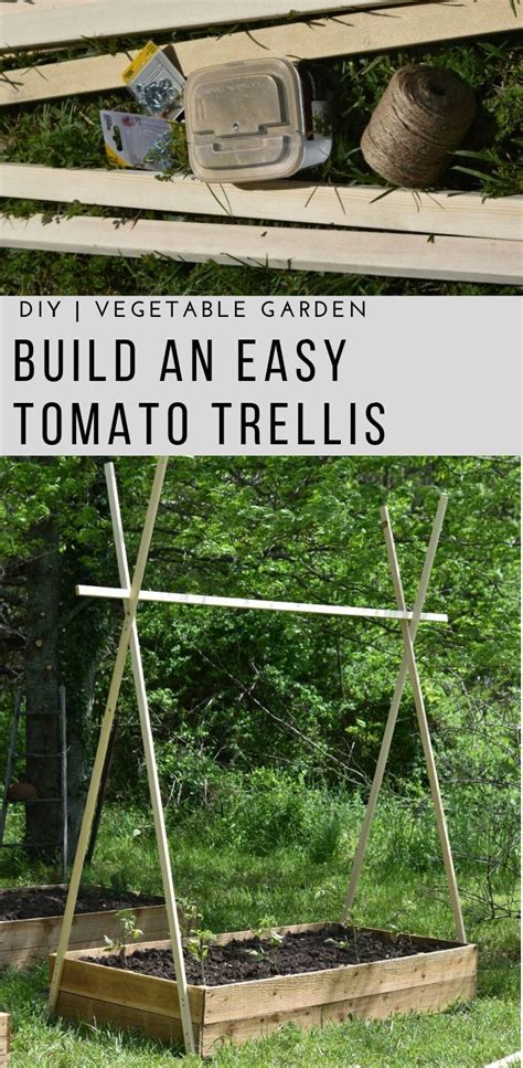 Build This Simple Diy Tomato Trellis For Raised Bed Gardening Use