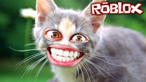 The Cutest Kitten In Roblox Youtube