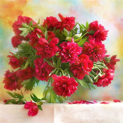 صور خلفيات كمبيوتر hd 2020 خلفيات موبايل رومانسية. ورد أحمر جميل Red Flowers - صور ورد وزهور Rose Flower images