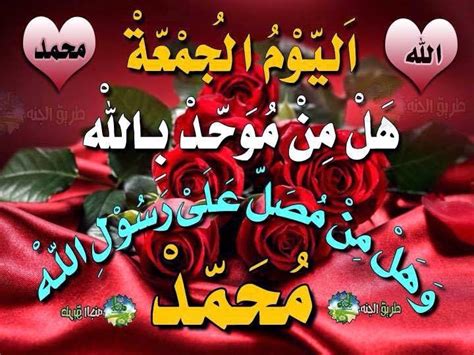 .ورود وازهار متحركة بوكيهات ورد طبيعي ورد من الطبيعة وردة متحركة صور ورد ابيض ورود حمراء ورد بنفسجي ورود بيضاء ورود باللون الزهري صور ورد خلفيات ورود بوربوينت. صور ورد 2018 ورود مكتوب عليها عبارات جميله | مصراوى الشامل