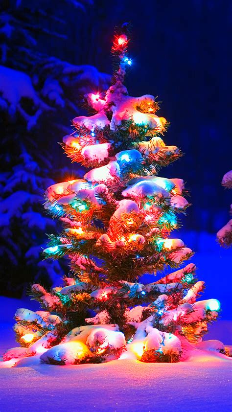Our community of professional photographers have contributed thousands of beautiful images, and all of them can be downloaded for free. Christmas Tree Lights Snow