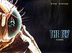 Happyotter: THE FLY (1986)