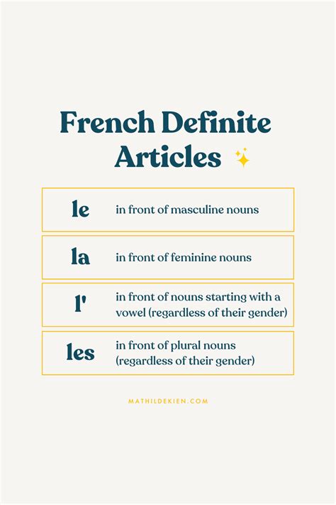 French Definite Articles Lesson | Basic french words, French flashcards ...