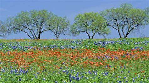 Texas Hill Country Wallpaper 56 Images