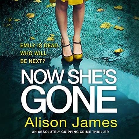 Now Shes Gone By Alison James Audiobook