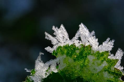 Crystals Ice Winter Free Photo On Pixabay Pixabay