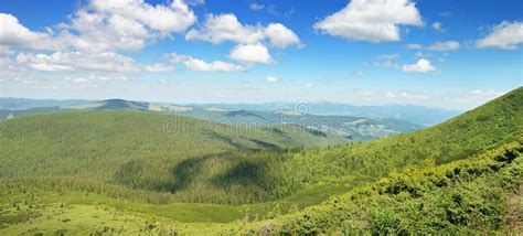 Mountains Covered Trees Stock Photo Image Of Nature 37931844