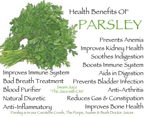 We did not find results for: Health Benefits of Parsley - Health & Fitness Tips and ...