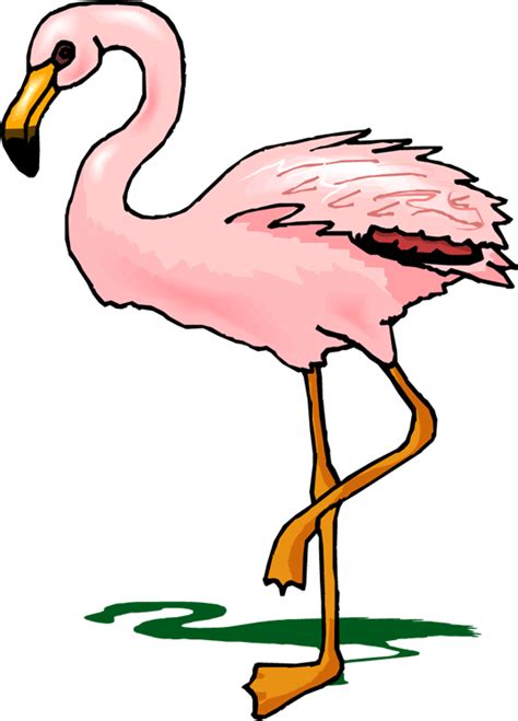 Flamingo 11png 539×750 Clip Art Art Online Art