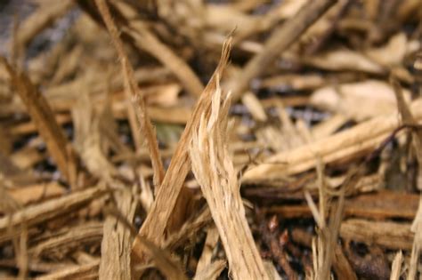 Forest Concepts Awarded Usda Sbir Phase I Contract For Biomass