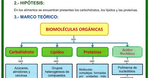 Study Ciencias BiomolÉculas OrgÁnicas