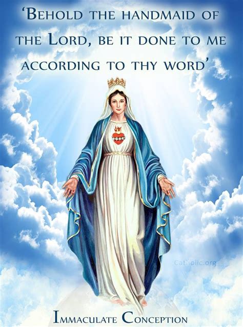 Your Daily Inspirational Meme Immaculate Conception Of The Blessed Virgin Mary Socials
