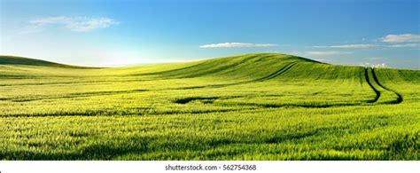 35147 Rolling Hills Blue Sky Images Stock Photos And Vectors Shutterstock