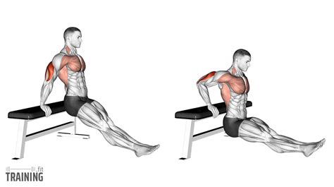 Seated Tricep Dips Muscles Worked Review Home Decor