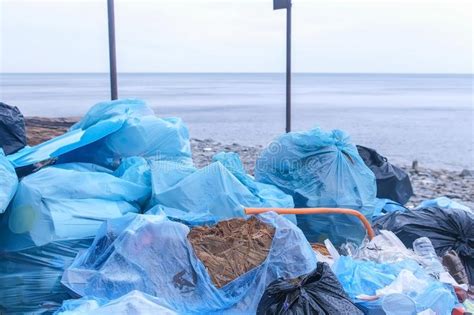 Dump Garbage Bags In Nature On Sea Beach Environmental Pollution