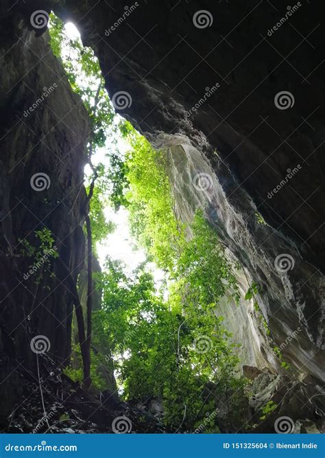 The Light Of The Cave Mouth Outside Is A Green Forest Stock Photo