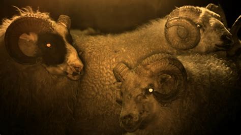 ‘lamb Is The Lamb Human Hybrid Horror Movie That Will Haunt Your Dreams