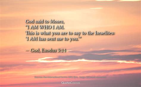 “i Am Who I Am” Exodus 314 Quotescosmos
