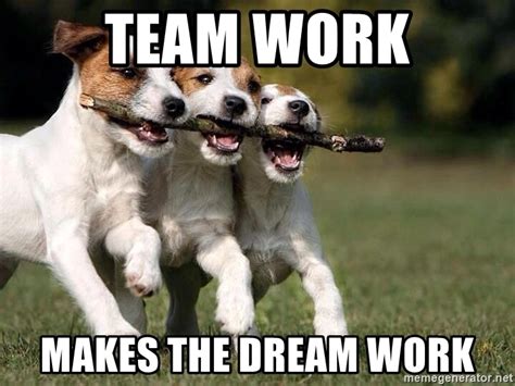 Team Work Makes The Dream Work 3 Dogs Teamwork Meme Generator