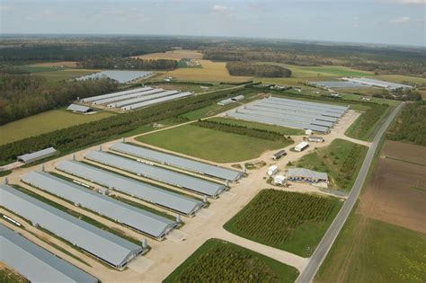 Chesapeake Bay And Factory Farms Environmental Integrity