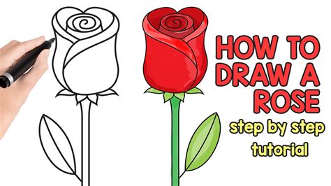 Easy Beginner Rose Easy Beginner Flower Sketch Canvas Depot