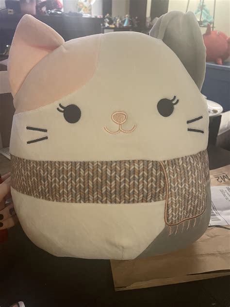 So Sweet She’s Finally Here If Anyone Is Interested I Found Her On Amazon R Squishmallow