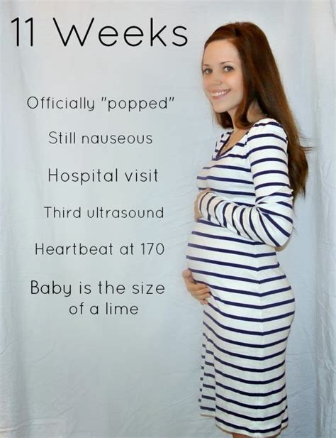 Every woman's body is different, and a bump can start popping out when baby's at 11 weeks (especially if you're carrying multiples or have been pregnant before). The Pike Five: Pregnancy Update : Weeks 5 - 11