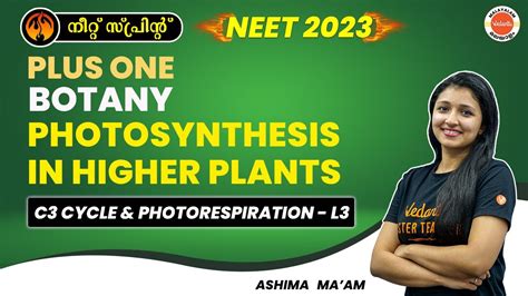 Plus One Botany In Malayalam Photosynthesis In Higher Plants Class