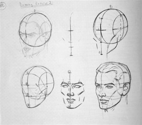 An Image Of The Face And Head With Different Angles To Each Side Drawn