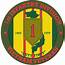 1st Infantry Division Vietnam Veteran Decal  Decals And