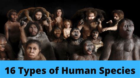 16 Different Types Of Human Species Explained Youtube